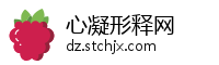 心凝形释网